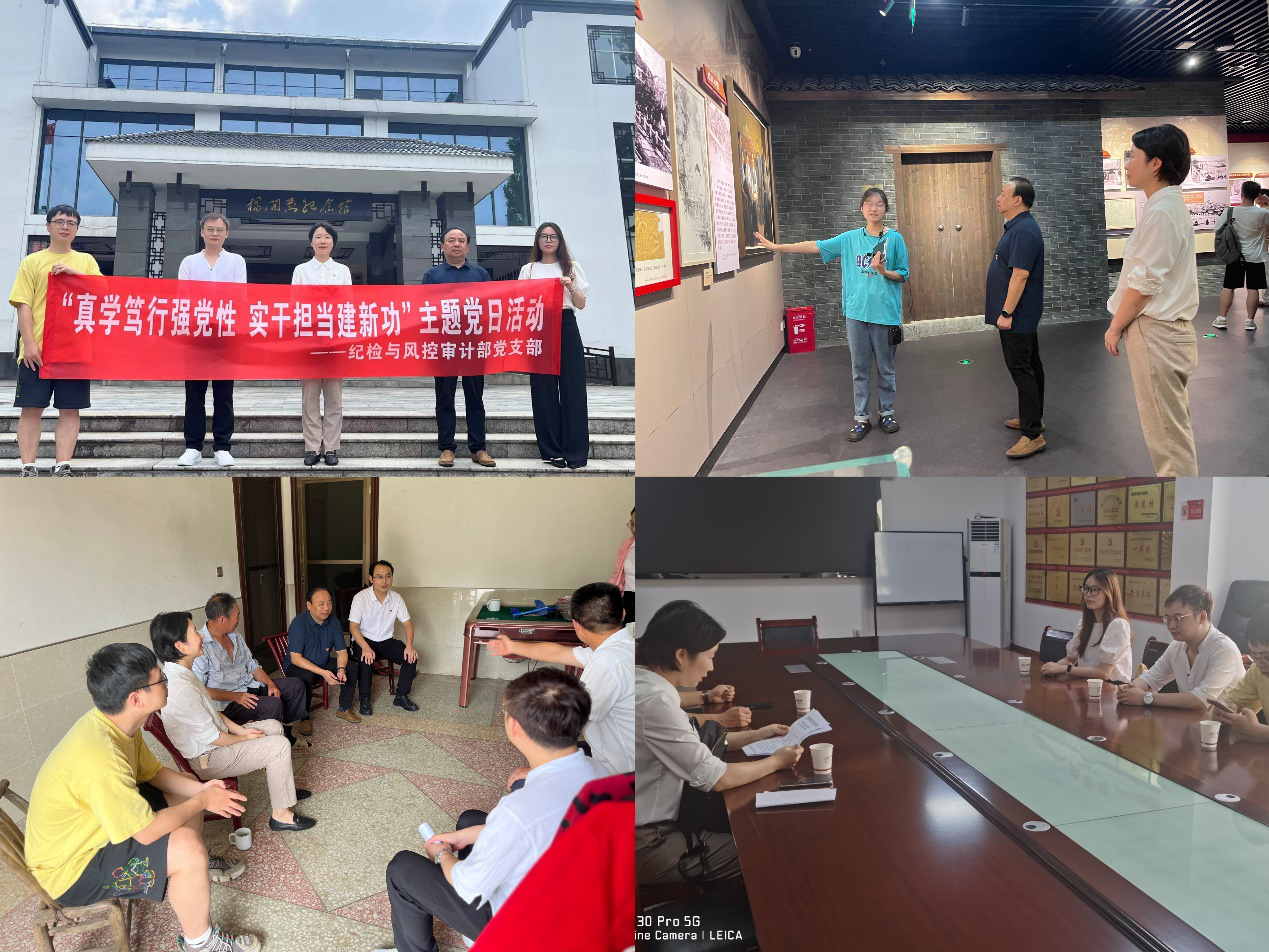 湖南發(fā)展紀(jì)檢與風(fēng)控審計部黨支部開展“真學(xué)篤行強(qiáng)黨性 實干擔(dān)當(dāng)建新功”主題黨日活動